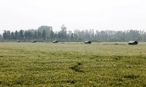 基建受阻，農(nóng)業(yè)科技開發(fā)或?qū)⒚媾R變數(shù)