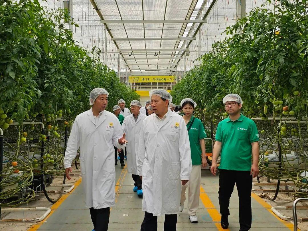 科技賦能農業(yè)新篇 劉中會副主任委員赴凱盛浩豐考察調研農業(yè)種植技術開發(fā)