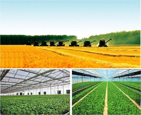 農業(yè)新引擎 技術驅動下的河南農業(yè)超越之路