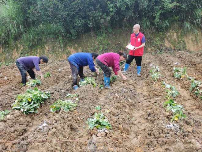 線上開網課線下送技術 巴南科技特派員雙線并進，賦能農業(yè)生產促農增收