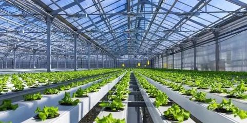 未來(lái)已來(lái) 探訪5G植物工廠與農(nóng)業(yè)數(shù)字孿生實(shí)驗(yàn)室，揭秘新農(nóng)業(yè)的技術(shù)革命