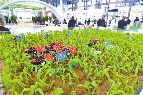 智慧農(nóng)業(yè) 栽培種植技術(shù)的革新與未來(lái)開(kāi)發(fā)路徑